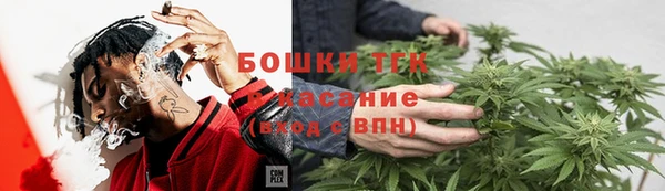 гидропоника Пересвет