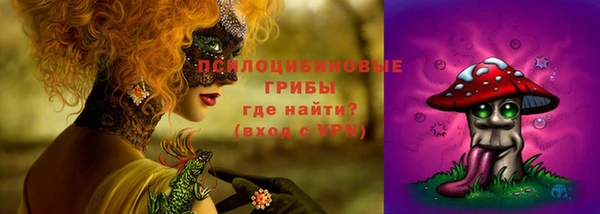 гидропоника Алзамай