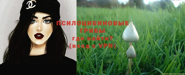 наркотики Алексин