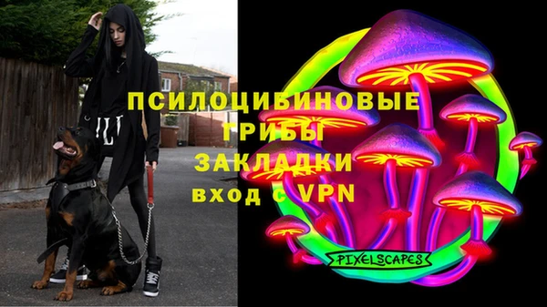 наркотики Алексин