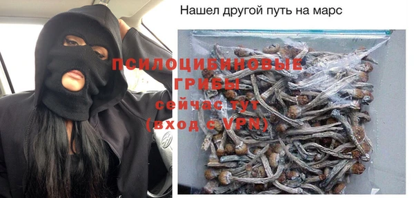 гидропоника Алзамай